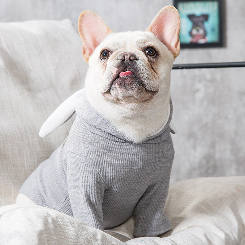 Cute Pet Sweater