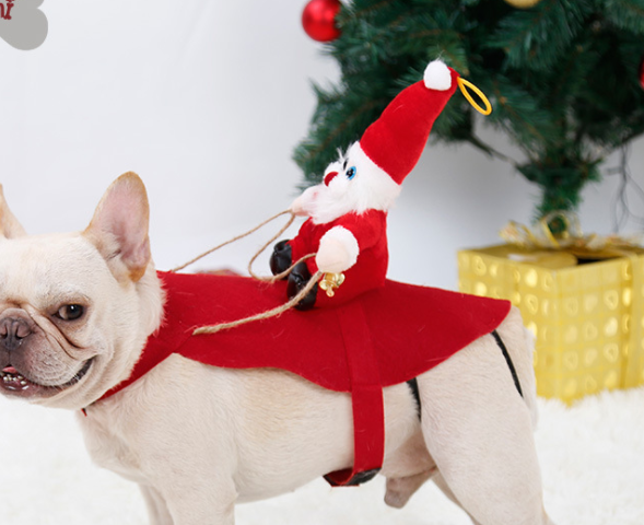 Dog Christmas Costume