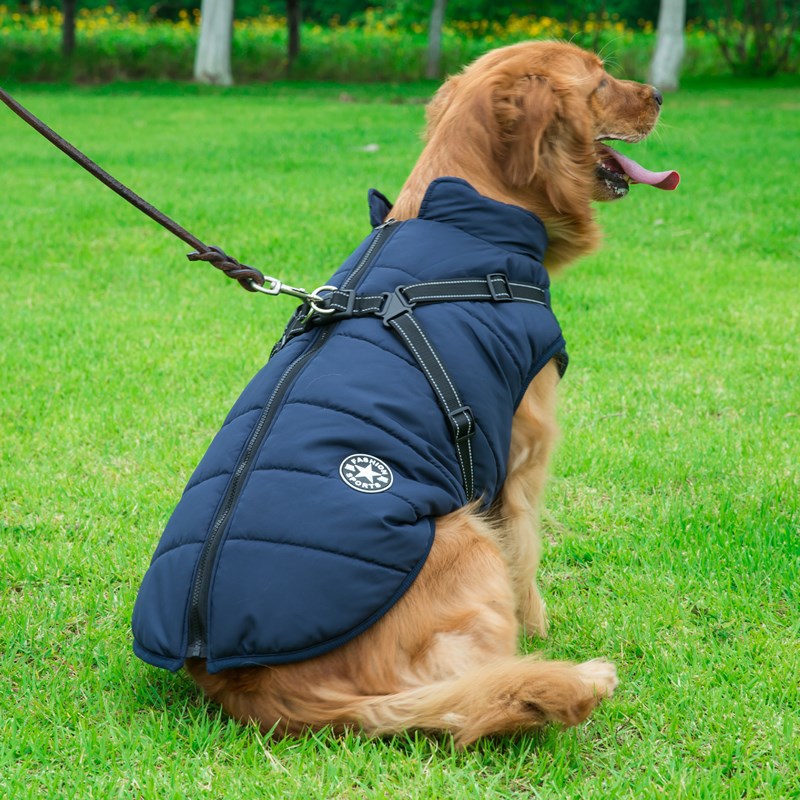 Pet jacket Coat