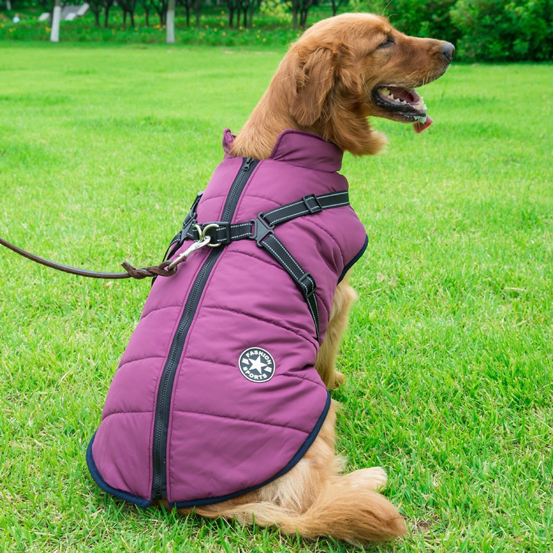 Pet jacket Coat