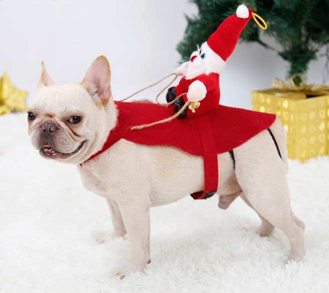 Dog Christmas Costume