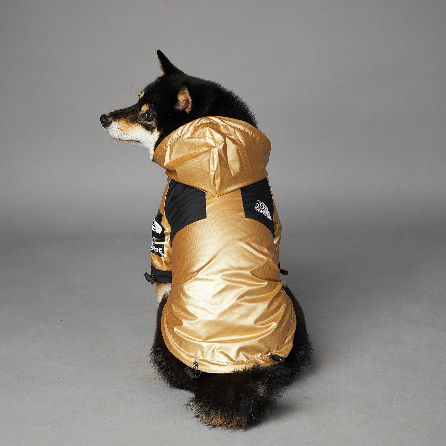 Pet Gold Jacket