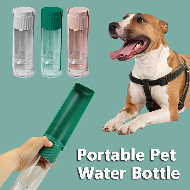 Pet Water Dispenser