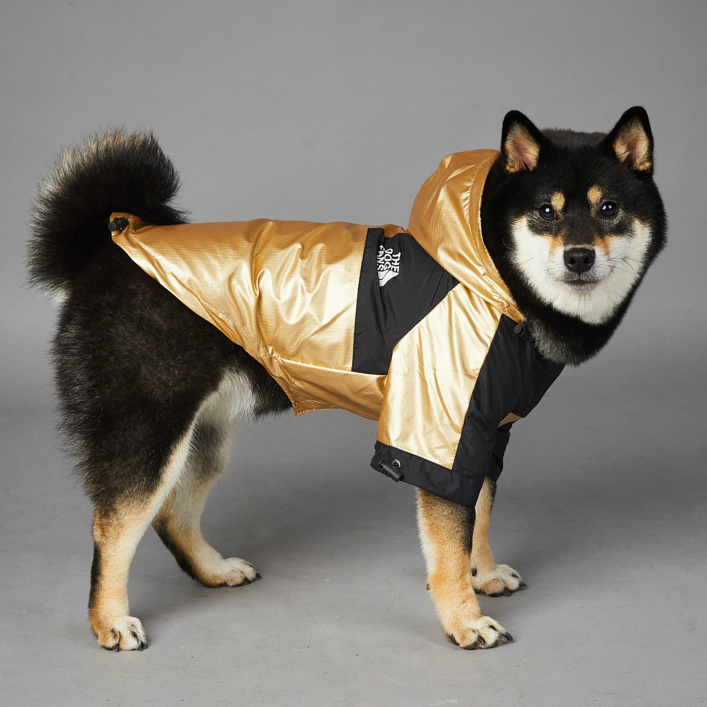 Pet Gold Jacket