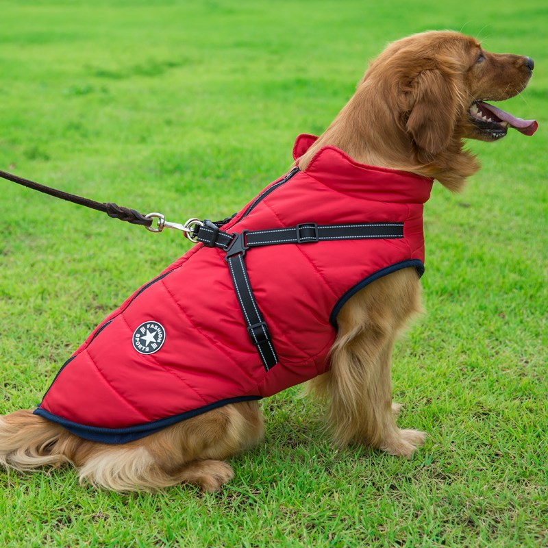 Pet jacket Coat