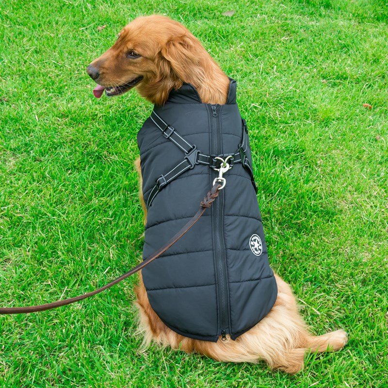 Pet jacket Coat