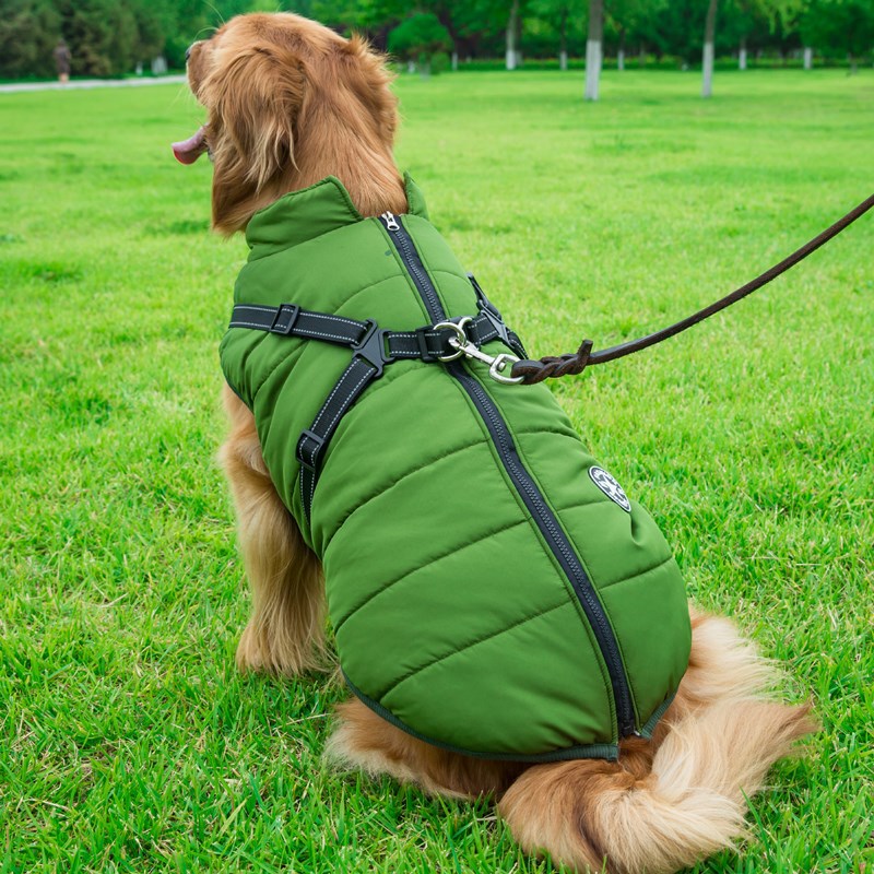 Pet jacket Coat