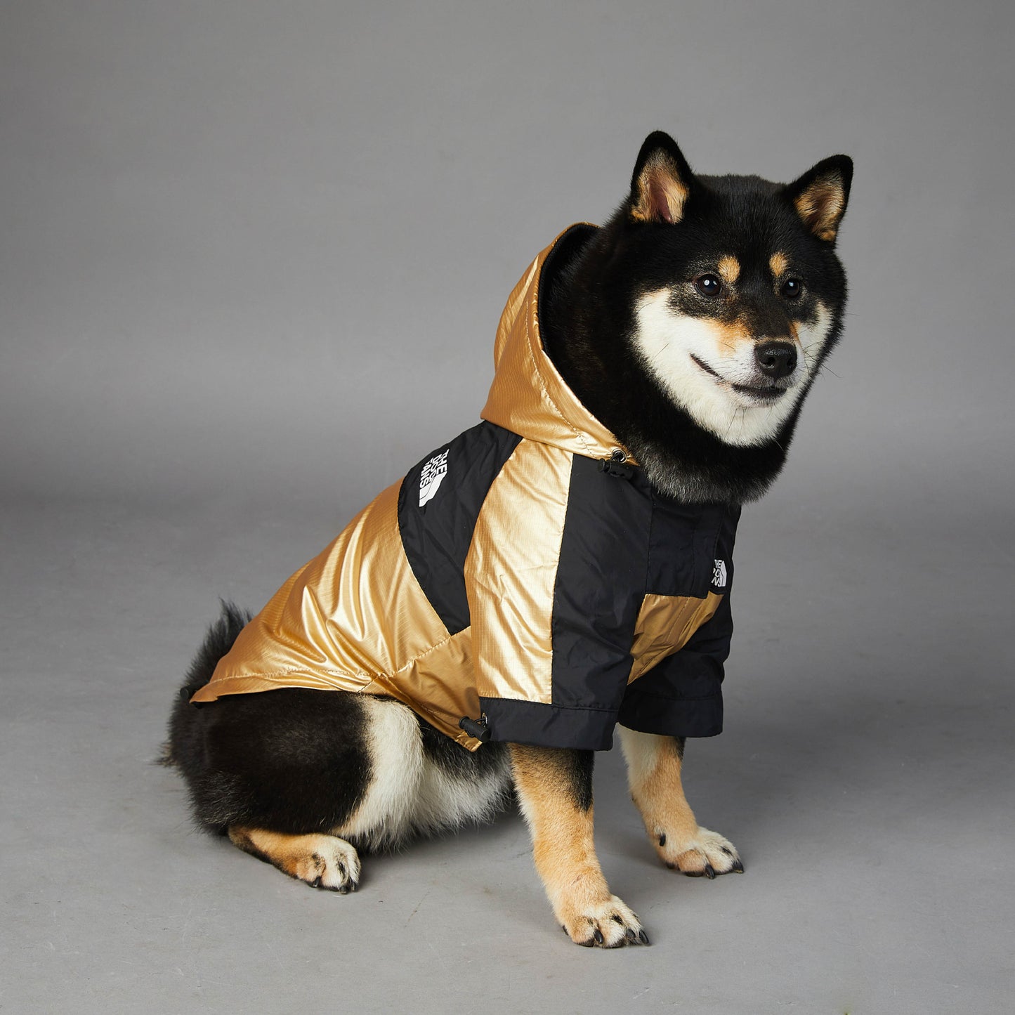 Pet Gold Jacket