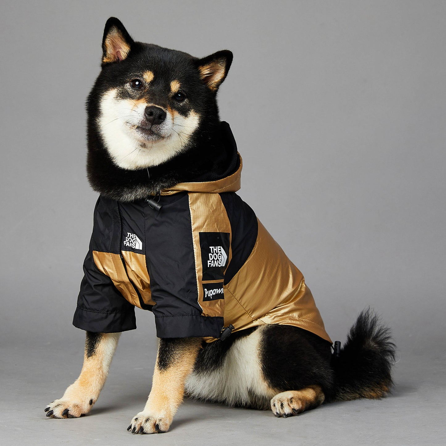 Pet Gold Jacket